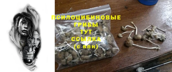 COCAINE Гусев