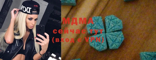 индика Гусиноозёрск