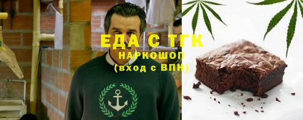 индика Гусиноозёрск