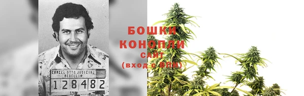 дурь Гусь-Хрустальный