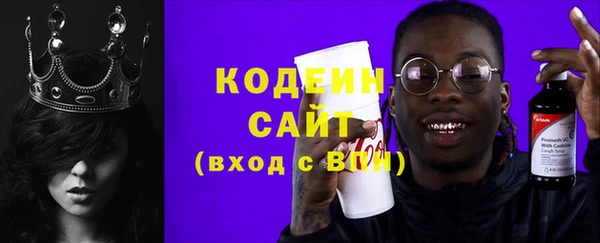 индика Гусиноозёрск