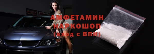 индика Гусиноозёрск
