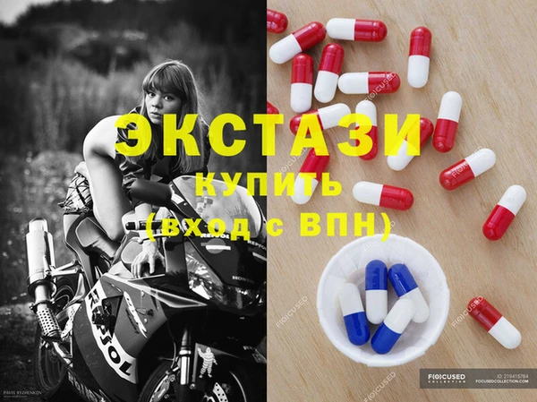 индика Гусиноозёрск