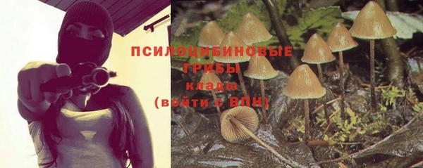 индика Гусиноозёрск