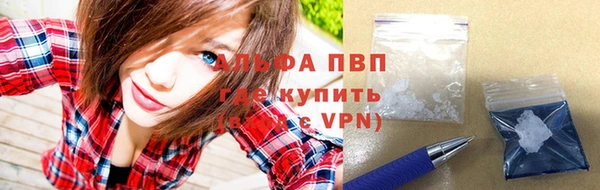 индика Гусиноозёрск