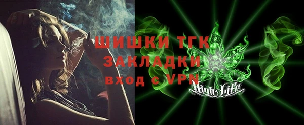 индика Гусиноозёрск