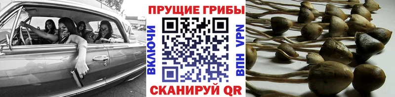 mega ссылка  Архангельск  Галлюциногенные грибы Magic Shrooms 